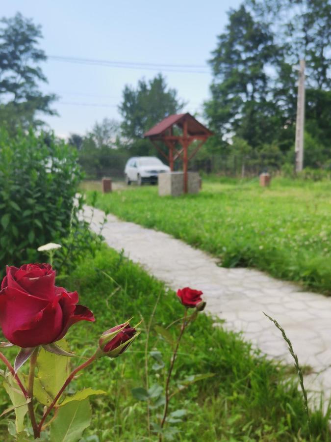 Casa Luca Ama Bran Villa Bran  Dış mekan fotoğraf