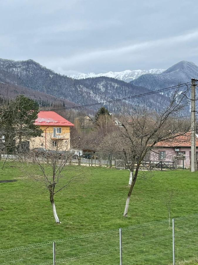 Casa Luca Ama Bran Villa Bran  Dış mekan fotoğraf