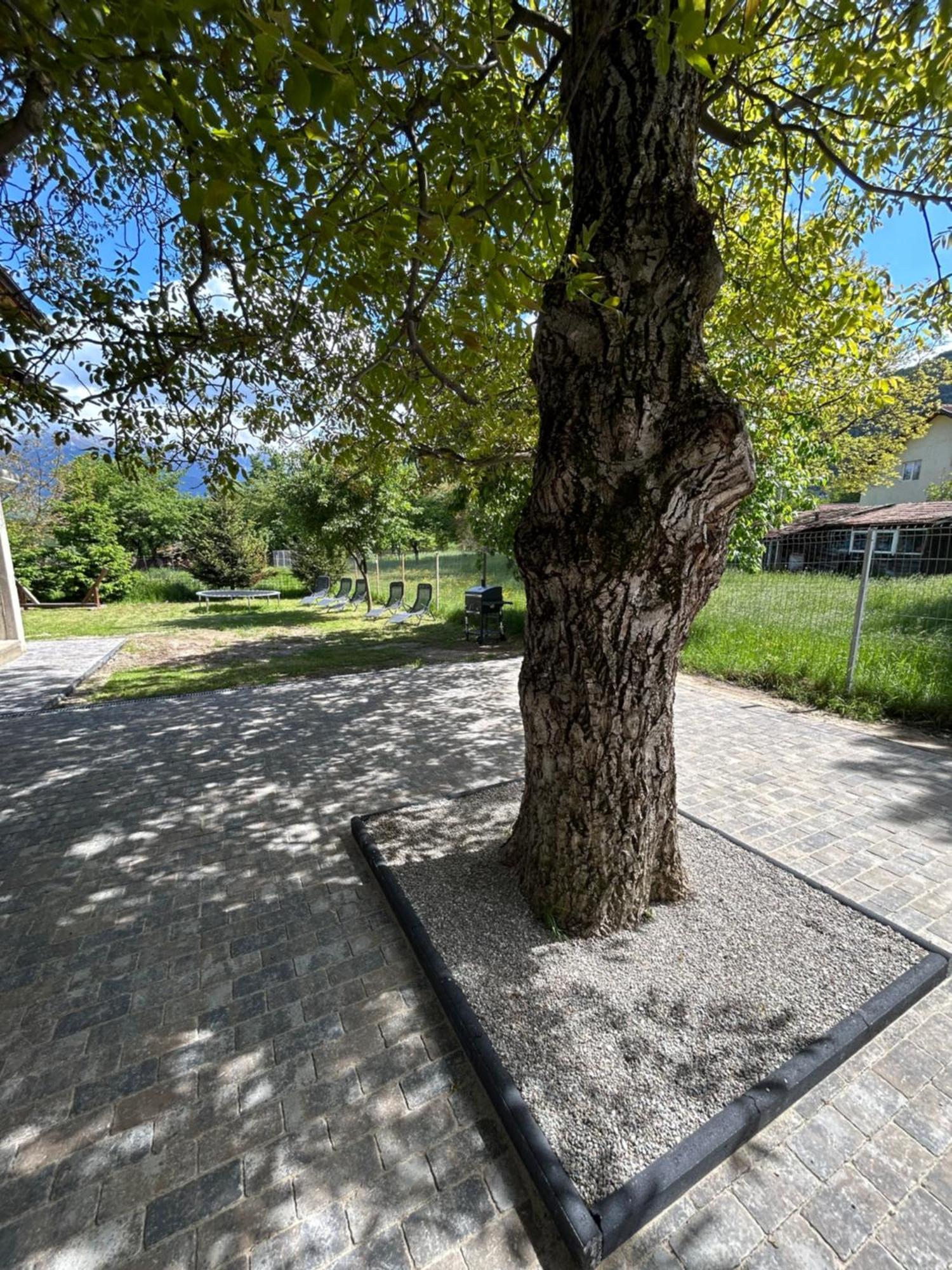 Casa Luca Ama Bran Villa Bran  Dış mekan fotoğraf