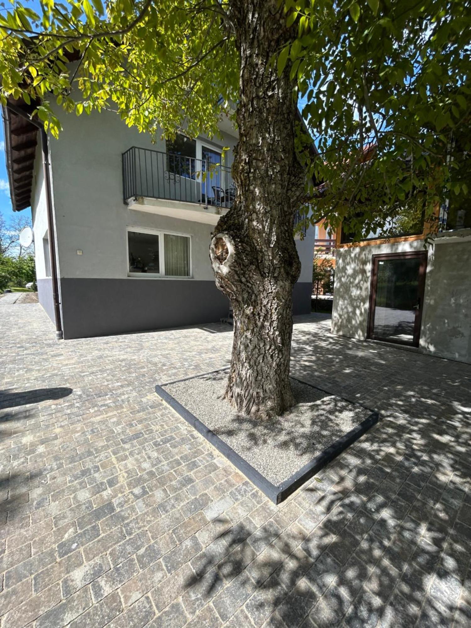 Casa Luca Ama Bran Villa Bran  Dış mekan fotoğraf