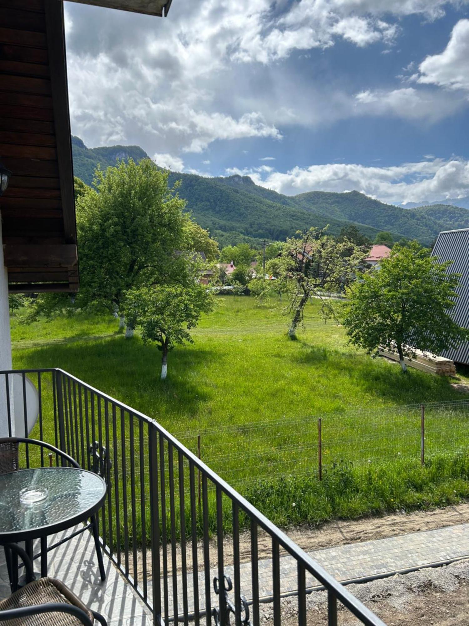 Casa Luca Ama Bran Villa Bran  Dış mekan fotoğraf