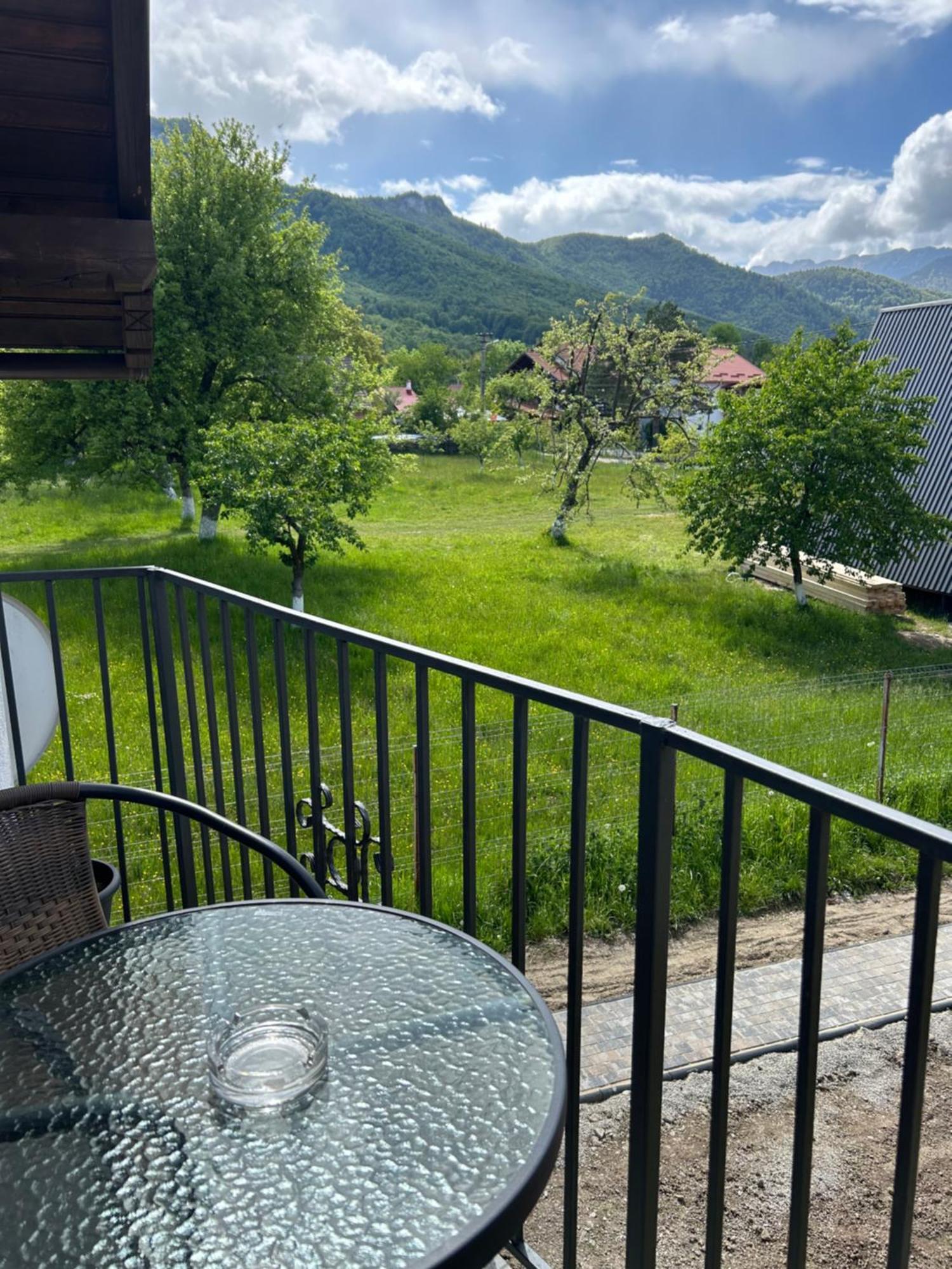 Casa Luca Ama Bran Villa Bran  Dış mekan fotoğraf